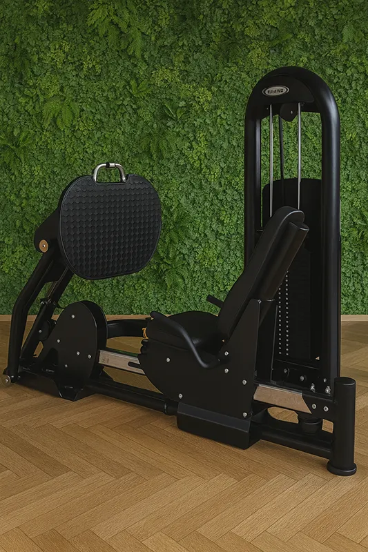 erkner-fitness-mytimeout